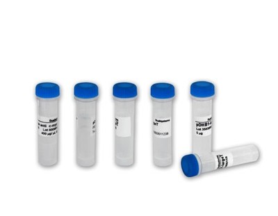 龙旸生物科技 专业生物技术开发与服务的行业先锋