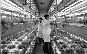 信息技术与生物技术双轮驱动，开启现代农业发展新篇章