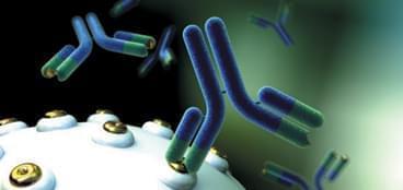 抗体药物开发服务 生物技术赋能创新疗法研发