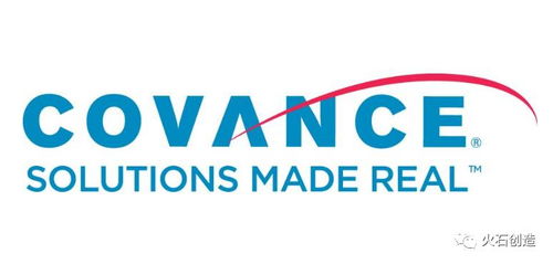 技术突破与监管规范双轮驱动，中国崛起为全球CRO战略要地