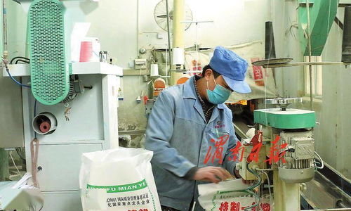 打造农产品加工产业新地标 渭南经开区以生物技术服务助力农业产业高质量发展